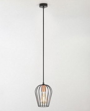 Подвесной светильник Rivoli Atena Б0047367 в Ишиме - ishim.ok-mebel.com | фото 4