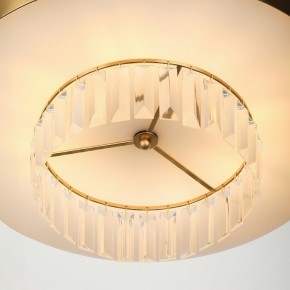 Подвесной светильник Rivoli Vickie Б0061902 в Ишиме - ishim.ok-mebel.com | фото 11