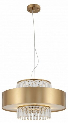 Подвесной светильник Rivoli Vickie Б0061902 в Ишиме - ishim.ok-mebel.com | фото 5