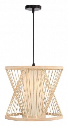 Подвесной светильник ST-Luce ALMA SL6241.503.01 в Ишиме - ishim.ok-mebel.com | фото