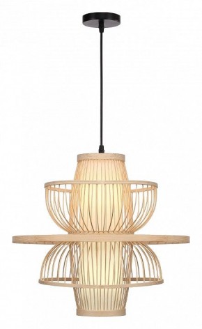 Подвесной светильник ST-Luce ALMA SL6241.513.01 в Ишиме - ishim.ok-mebel.com | фото 2