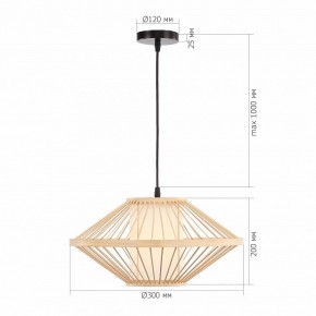 Подвесной светильник ST-Luce ALMA SL6241.533.01 в Ишиме - ishim.ok-mebel.com | фото 5