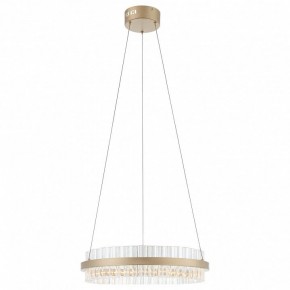 Подвесной светильник ST-Luce Cherio SL383.203.01 в Ишиме - ishim.ok-mebel.com | фото 3