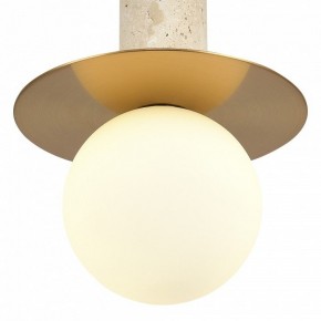 Подвесной светильник ST-Luce Earthy SL1194.303.01 в Ишиме - ishim.ok-mebel.com | фото 5
