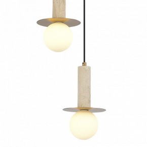 Подвесной светильник ST-Luce Earthy SL1194.303.03 в Ишиме - ishim.ok-mebel.com | фото 4