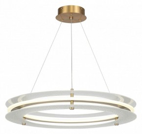 Подвесной светильник ST-Luce FAGY SL6245.203.01 в Ишиме - ishim.ok-mebel.com | фото 2