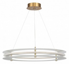 Подвесной светильник ST-Luce FAGY SL6245.203.01 в Ишиме - ishim.ok-mebel.com | фото 3