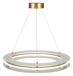 Подвесной светильник ST-Luce FAGY SL6245.203.01 в Ишиме - ishim.ok-mebel.com | фото 4