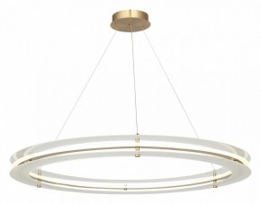 Подвесной светильник ST-Luce FAGY SL6245.213.01 в Ишиме - ishim.ok-mebel.com | фото 4
