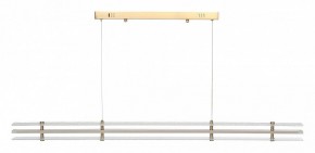 Подвесной светильник ST-Luce FAGY SL6245.223.01 в Ишиме - ishim.ok-mebel.com | фото 3