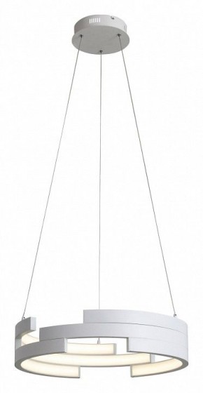 Подвесной светильник ST-Luce Genuine SL963.503.01 в Ишиме - ishim.ok-mebel.com | фото 4