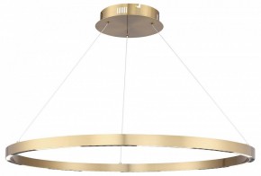 Подвесной светильник ST-Luce PARILLA SL6238.343.01 в Ишиме - ishim.ok-mebel.com | фото 2