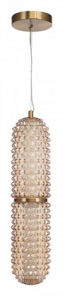 Подвесной светильник ST-Luce SAGUARO SL6144.303.01 в Ишиме - ishim.ok-mebel.com | фото 3