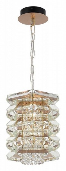 Подвесной светильник ST-Luce STROZZI SL6137.203.01 в Ишиме - ishim.ok-mebel.com | фото 4