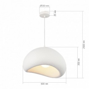 Подвесной светильник ST-Luce WABI SABI SL1522.513.01 в Ишиме - ishim.ok-mebel.com | фото 5