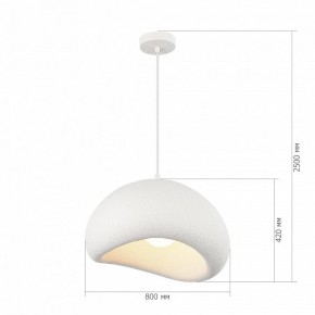Подвесной светильник ST-Luce WABI SABI SL1522.523.01 в Ишиме - ishim.ok-mebel.com | фото 6