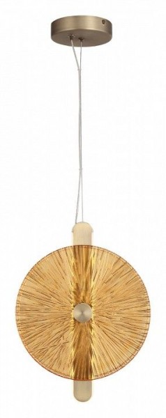 Подвесной светильник ST-Luce WASI SL6141.313.01 в Ишиме - ishim.ok-mebel.com | фото 2