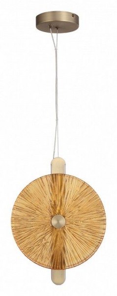 Подвесной светильник ST-Luce WASI SL6141.313.01 в Ишиме - ishim.ok-mebel.com | фото 3