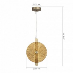 Подвесной светильник ST-Luce WASI SL6141.313.01 в Ишиме - ishim.ok-mebel.com | фото 5