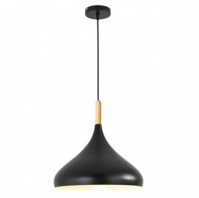 Подвесной светильник TopDecor Molto Molto S2 12 в Ишиме - ishim.ok-mebel.com | фото