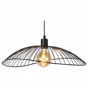 Подвесной светильник TopLight Agnes TL1196H-01BK в Ишиме - ishim.ok-mebel.com | фото