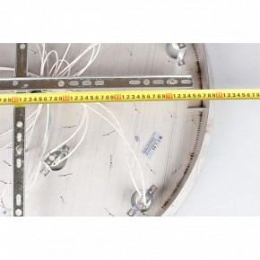 Потолочная люстра Aployt Teresa APL.855.06.10 в Ишиме - ishim.ok-mebel.com | фото 16