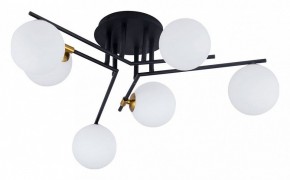 Потолочная люстра Arte Lamp Gemini A2243PL-6BK в Ишиме - ishim.ok-mebel.com | фото