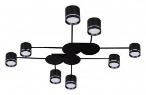 Потолочная люстра Arte Lamp Legacy A8024PL-8BK в Ишиме - ishim.ok-mebel.com | фото