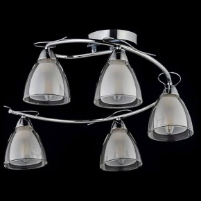 Потолочная люстра Arti Lampadari Paola, Tavenna Nickel Paola E 1.1.5 N в Ишиме - ishim.ok-mebel.com | фото 2