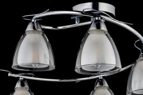 Потолочная люстра Arti Lampadari Paola, Tavenna Nickel Paola E 1.1.5 N в Ишиме - ishim.ok-mebel.com | фото 4