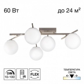 Потолочная люстра Citilux Dorsy CL223151 в Ишиме - ishim.ok-mebel.com | фото 2
