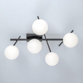 Потолочная люстра Citilux Dorsy CL223152 в Ишиме - ishim.ok-mebel.com | фото 6
