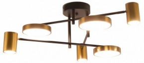 Потолочная люстра Kink Light Рапис 07645-6D,19(20) в Ишиме - ishim.ok-mebel.com | фото