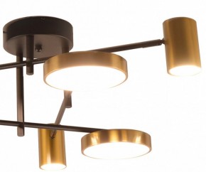 Потолочная люстра Kink Light Рапис 07645-6D,19(20) в Ишиме - ishim.ok-mebel.com | фото 2