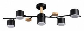 Потолочная люстра Lumion Crypto 8194/5C в Ишиме - ishim.ok-mebel.com | фото