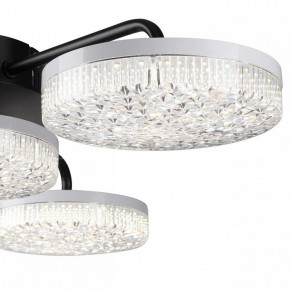 Потолочная люстра Lumion Didana 8236/4CL в Ишиме - ishim.ok-mebel.com | фото 7