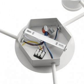 Потолочная люстра Lumion Gareta 8235/9C в Ишиме - ishim.ok-mebel.com | фото 6