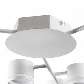 Потолочная люстра Lumion Gareta 8235/9C в Ишиме - ishim.ok-mebel.com | фото 8