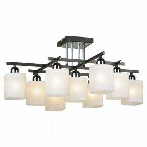 Потолочная люстра Lussole Costanzo LSL-9007-09 в Ишиме - ishim.ok-mebel.com | фото 2