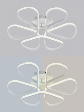 Потолочная люстра Natali Kovaltseva COBRA LED LAMPS 81121/7C в Ишиме - ishim.ok-mebel.com | фото 6