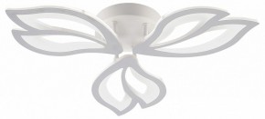 Потолочная люстра Natali Kovaltseva FORTUNA LED LAMPS 81107/2C в Ишиме - ishim.ok-mebel.com | фото