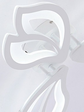 Потолочная люстра Natali Kovaltseva FORTUNA LED LAMPS 81107/2C в Ишиме - ishim.ok-mebel.com | фото 10