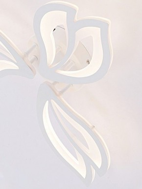 Потолочная люстра Natali Kovaltseva FORTUNA LED LAMPS 81107/2C в Ишиме - ishim.ok-mebel.com | фото 11