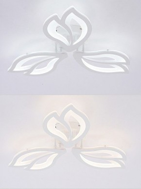 Потолочная люстра Natali Kovaltseva FORTUNA LED LAMPS 81107/2C в Ишиме - ishim.ok-mebel.com | фото 4