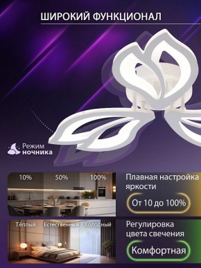 Потолочная люстра Natali Kovaltseva FORTUNA LED LAMPS 81107/2C в Ишиме - ishim.ok-mebel.com | фото 5