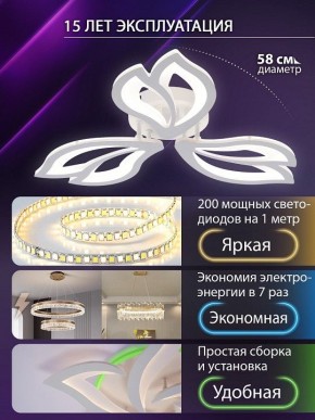 Потолочная люстра Natali Kovaltseva FORTUNA LED LAMPS 81107/2C в Ишиме - ishim.ok-mebel.com | фото 6