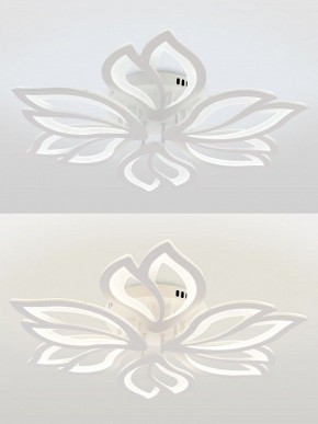 Потолочная люстра Natali Kovaltseva FORTUNA LED LAMPS 81107/6C в Ишиме - ishim.ok-mebel.com | фото 4