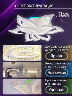 Потолочная люстра Natali Kovaltseva OLIMP LED LAMPS 81435 в Ишиме - ishim.ok-mebel.com | фото 5