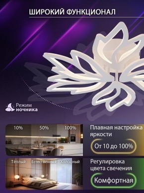 Потолочная люстра Natali Kovaltseva RIF LED LAMPS 81118/5C в Ишиме - ishim.ok-mebel.com | фото 6