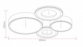 Потолочная люстра Rivoli Aliona Б0066451 в Ишиме - ishim.ok-mebel.com | фото 11